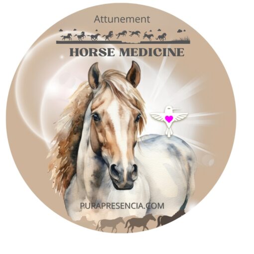 Horse "Medicine" Attunement