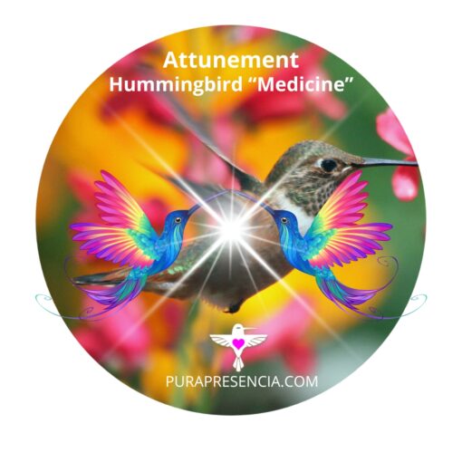 Hummingbird "medicine" attunement