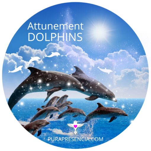 Dolphins Attunement