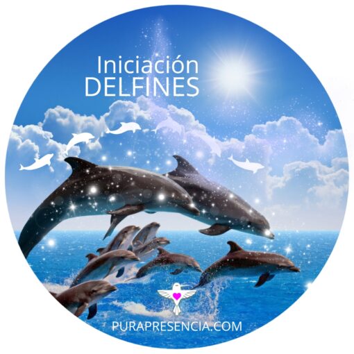 Iniciación delfines