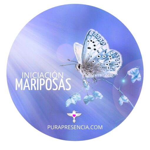 Iniciación Mariposas