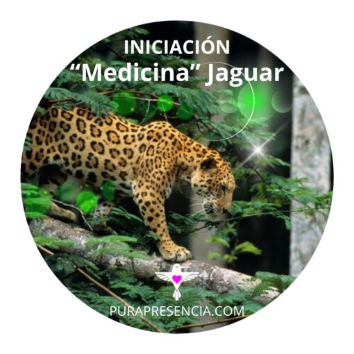 Iniciación "medicina" Jaguar