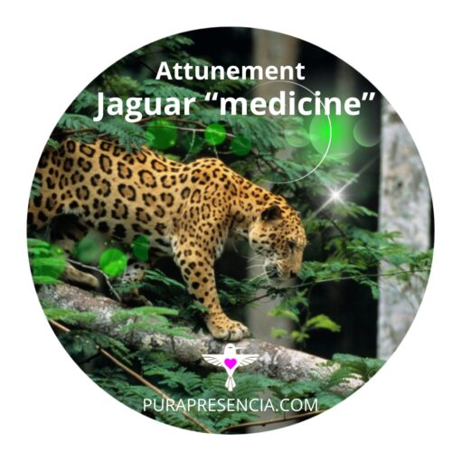 Jaguar "medicine" attunement