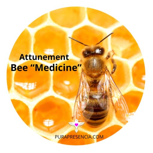 Bee "medicine" attunement