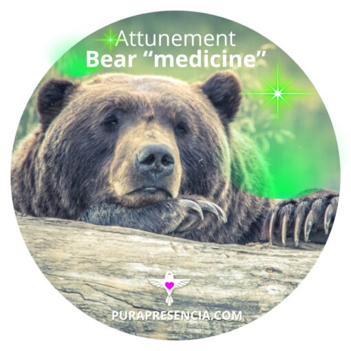 Bear "medicine" attunement