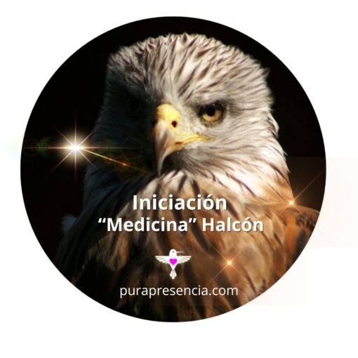 Iniciación "medicina" Halcón