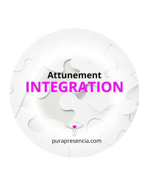 Integration Attunement