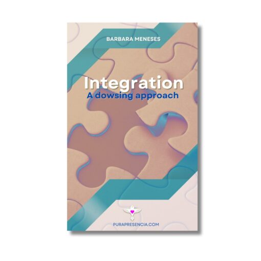 Integration manual (Pdf)